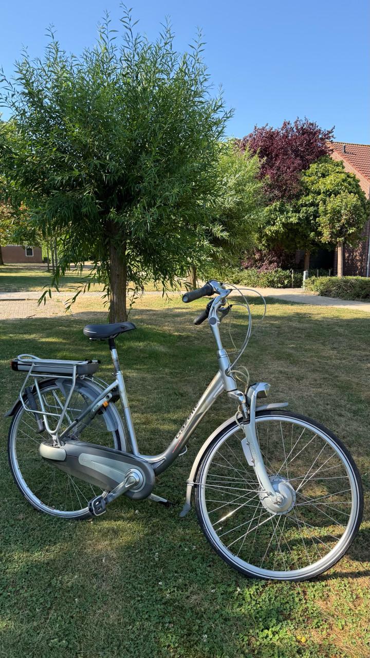 Elektrische damesfiets Gazelle Orange Innergy
