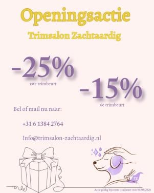 Zachtaardig & stressvrij – gediplomeerde vachtverzorging Terneuzen