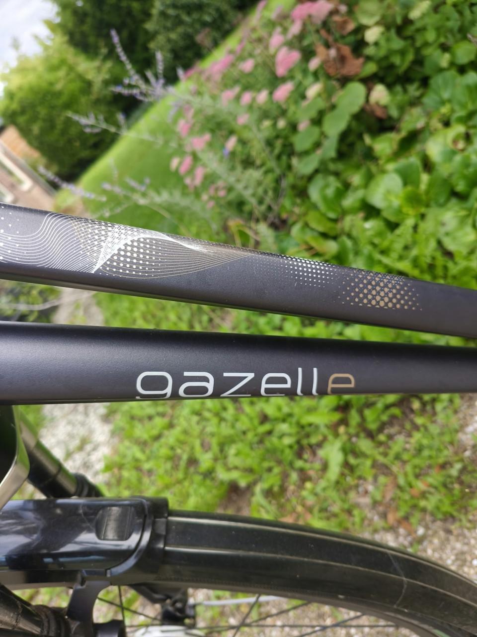 Gazelle Eclipse Limited Edition 8V – 57 cm