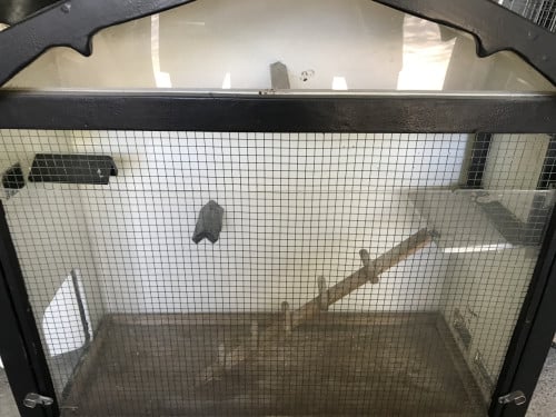 Vogelhuisje