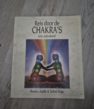 Reis door de Chakra's