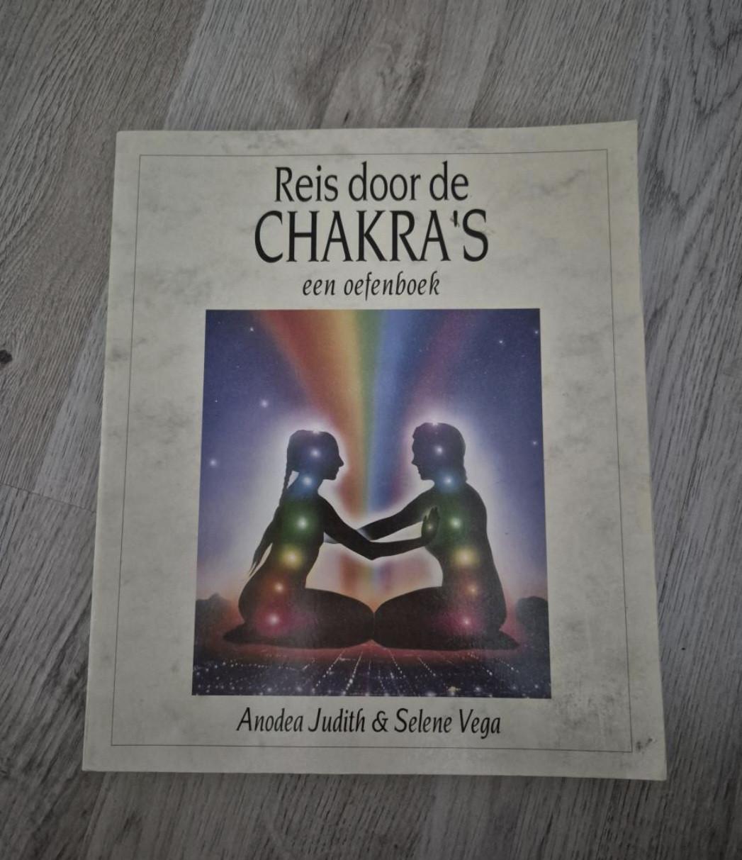 Reis door de Chakra's