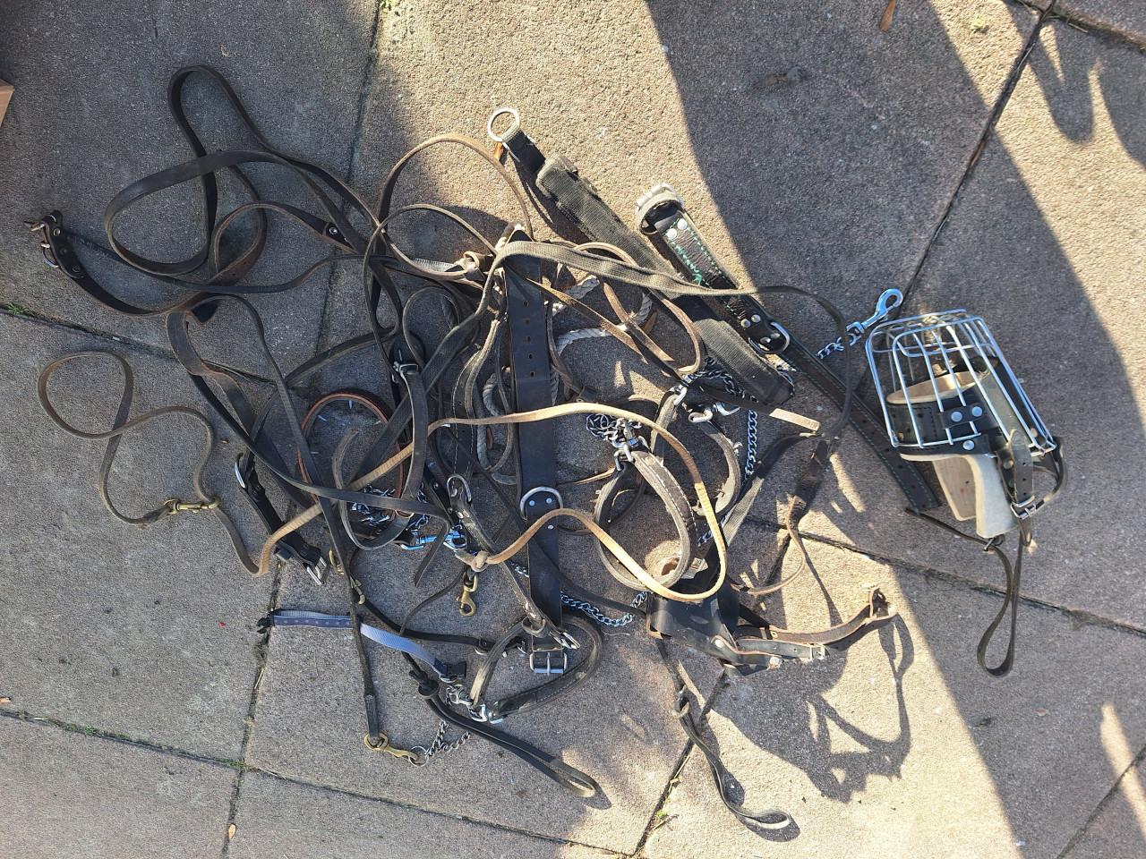 Honden riemen en halsbanden