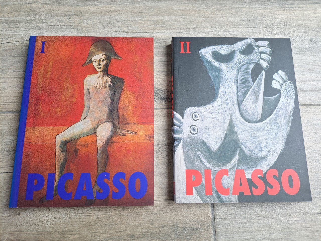 "Picasso" door Carsten-Peter Warncke en Ingo F. Walther