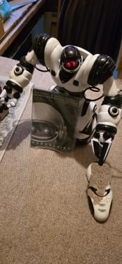 Robosapiens