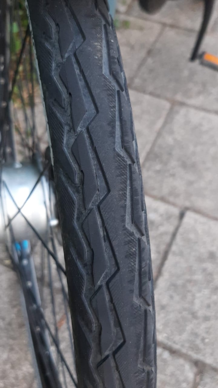 Giant Ease-E kleinere damesfiets!
