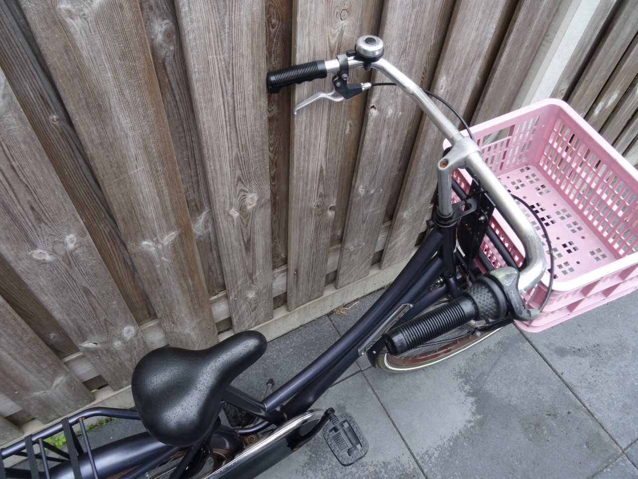 Popal Daily Dutch 24 inch meisjesfiets 3 versnellingen
