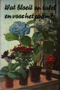 Wat bloeit op tafel en voor het raam? Bruno Schönfelder