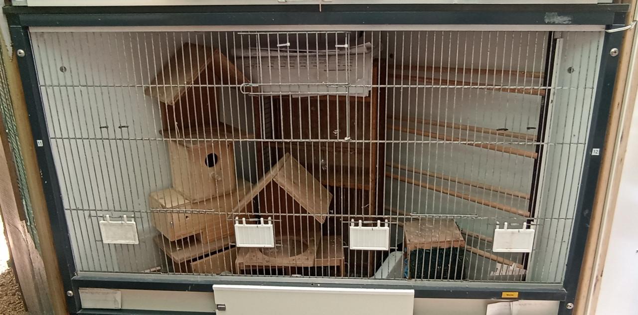 Frames voor vogelkooien