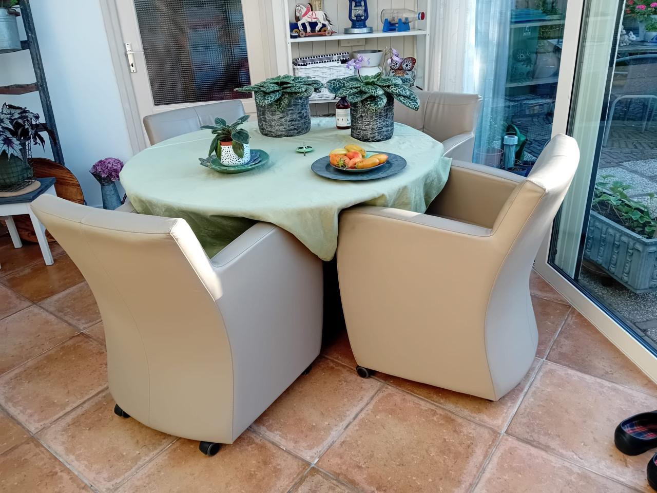 Leolux eetkamerstoelen
