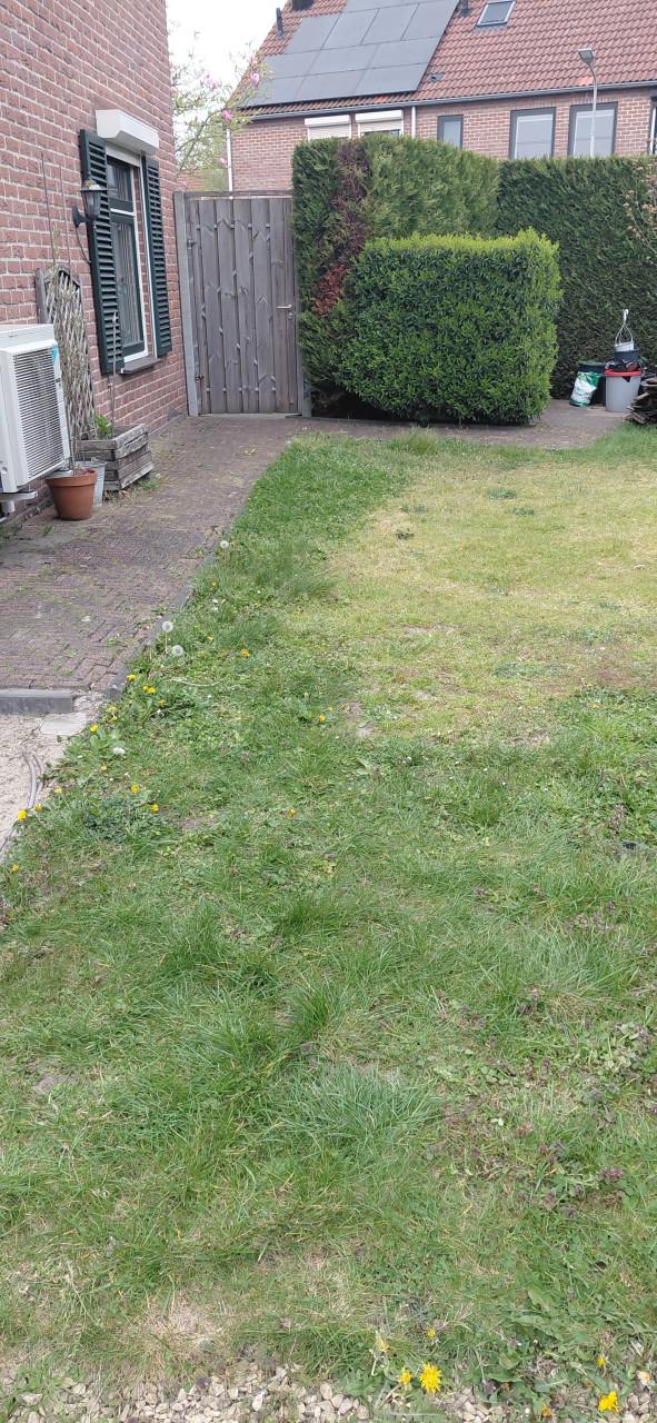 Klinkers 20x5x6 cm gratis op te halen