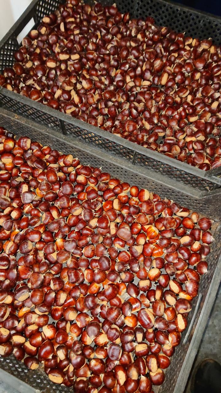 Kweeperen ( 20kg ), Tamme kastanjes (40 kg):  alles per kilo €1,50 !