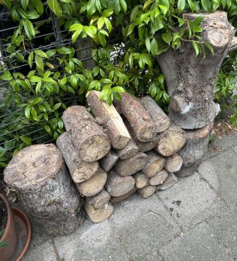 Stookhout Kurkdroog