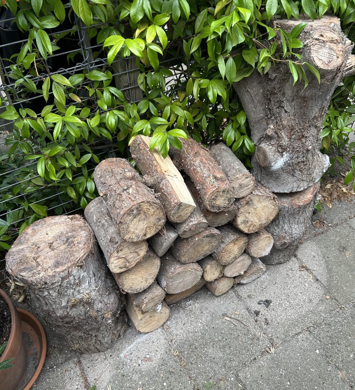 Stookhout Kurkdroog