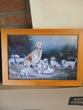Decoratieve afbeelding hondjes