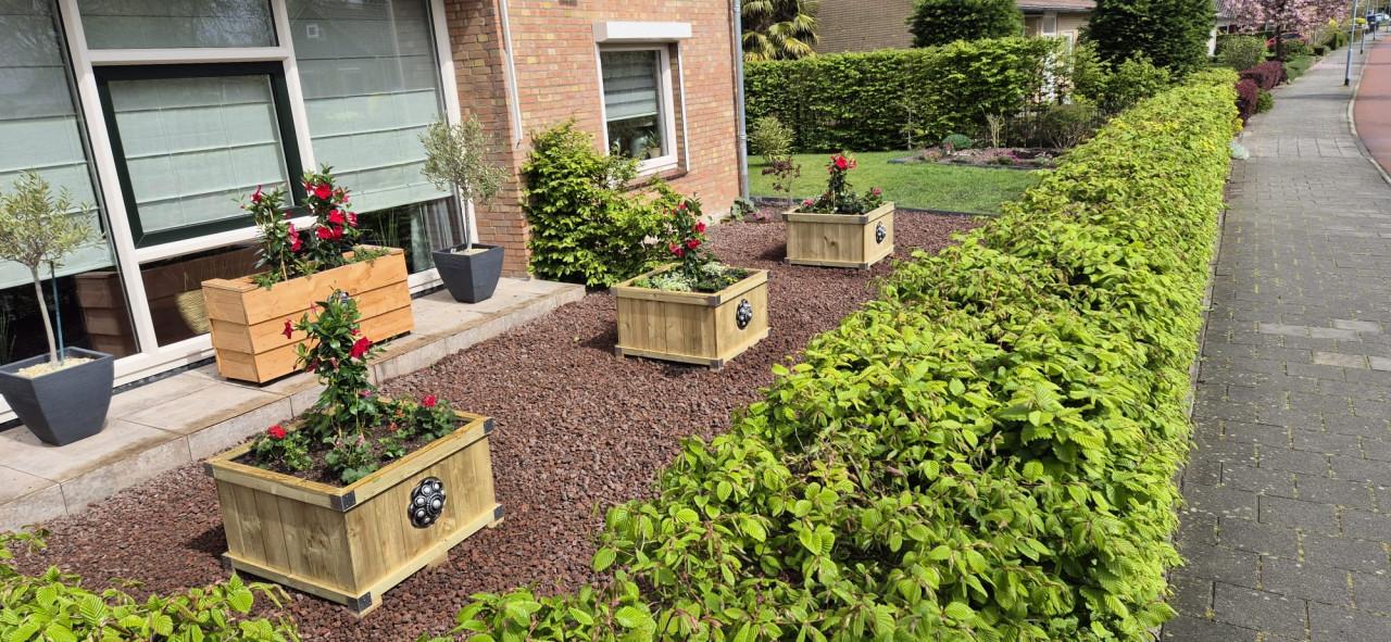 Zeeuwse knop bloembakken projecten ter inspiraties L80 x B80 x H50