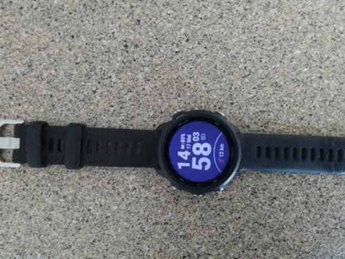 Garmin Forerunner 245