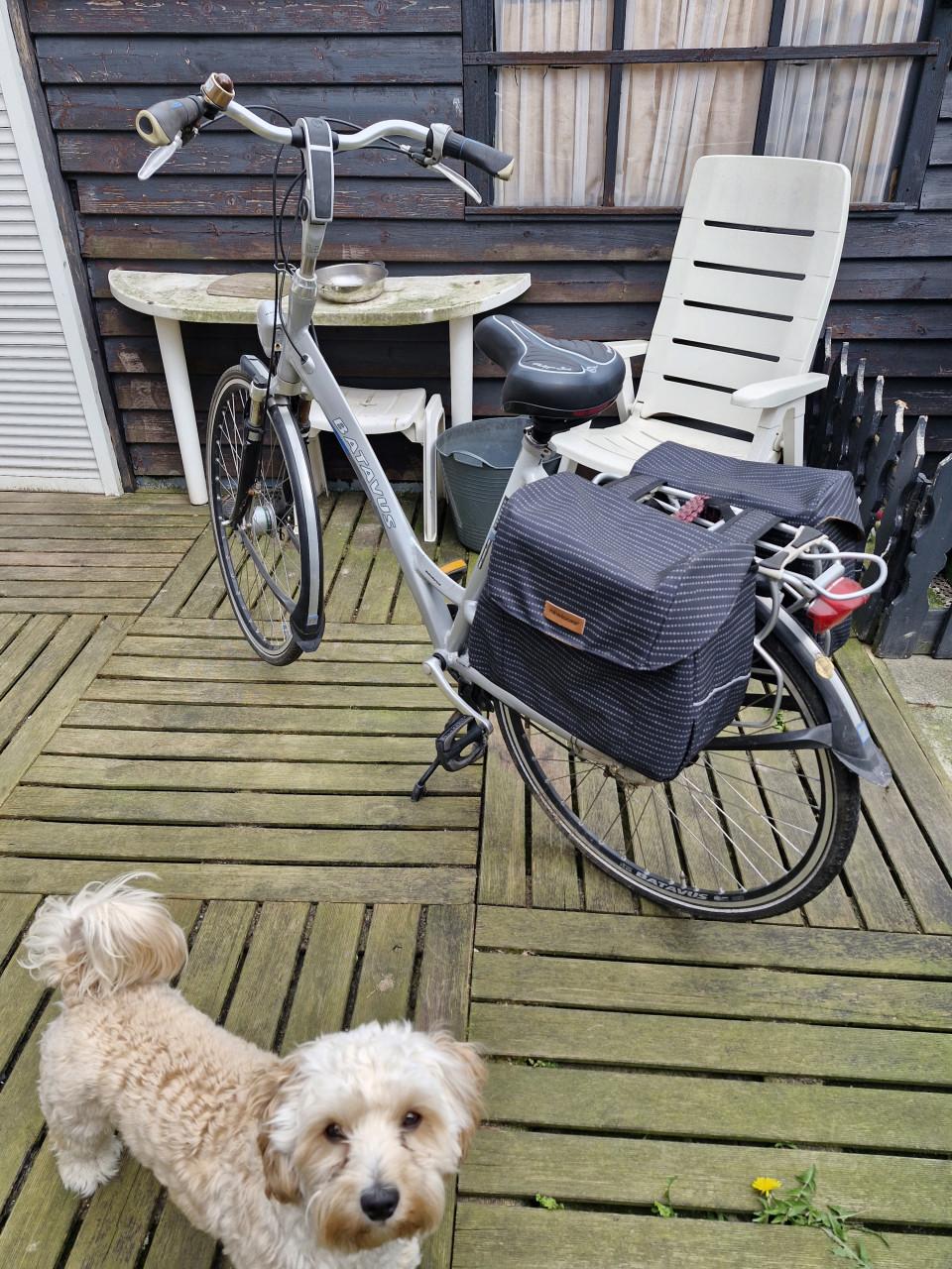 Koopje zeer mooie goede batavus damesfiets 8 versnellingen