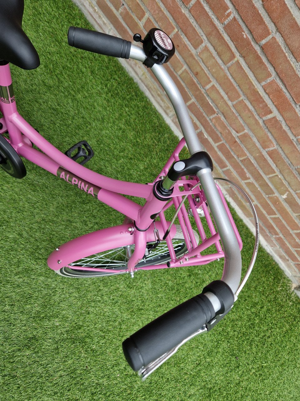 Alpina Cargo 20 inch SUPER STAAT