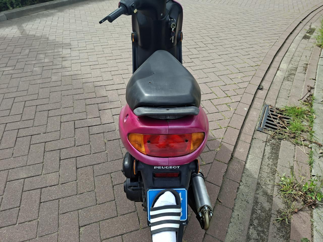 Peugeot Zenith