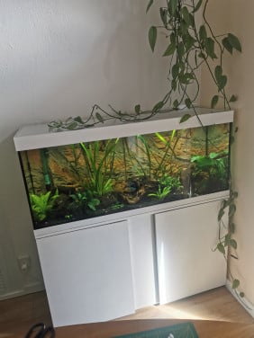Compleet aquarium