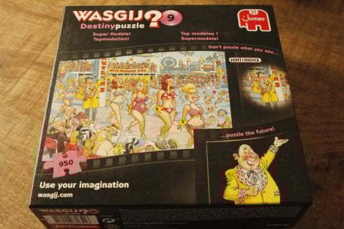 V Haasteren of wasgij puzzel