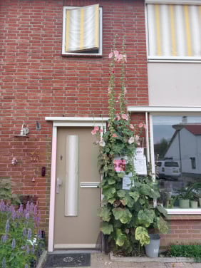 DE VOORDEUR ZEGT DANK JULLIE WEL