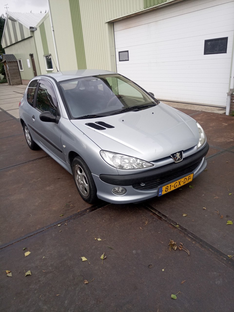 Peugeot 206    € 900.-