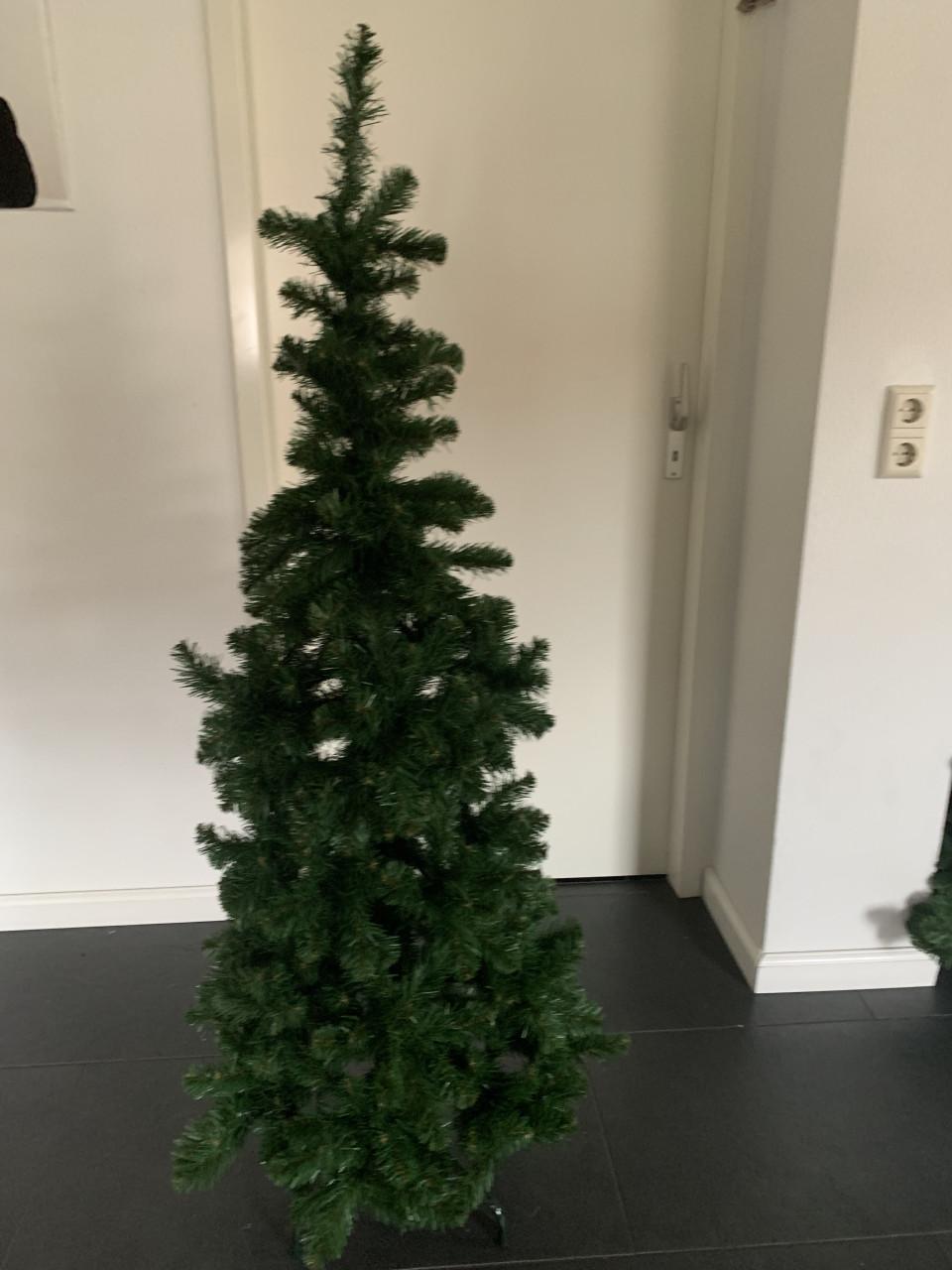 Kerstboom smal 1.55 hoog . Intratuin Triumph tree