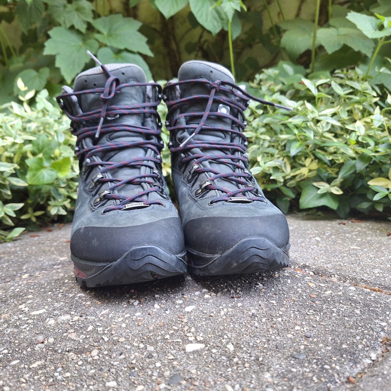 Lowa - Women's Mauria Evo GTX - Wandelschoenen