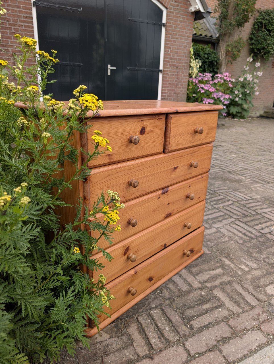 Grenen ladenkast