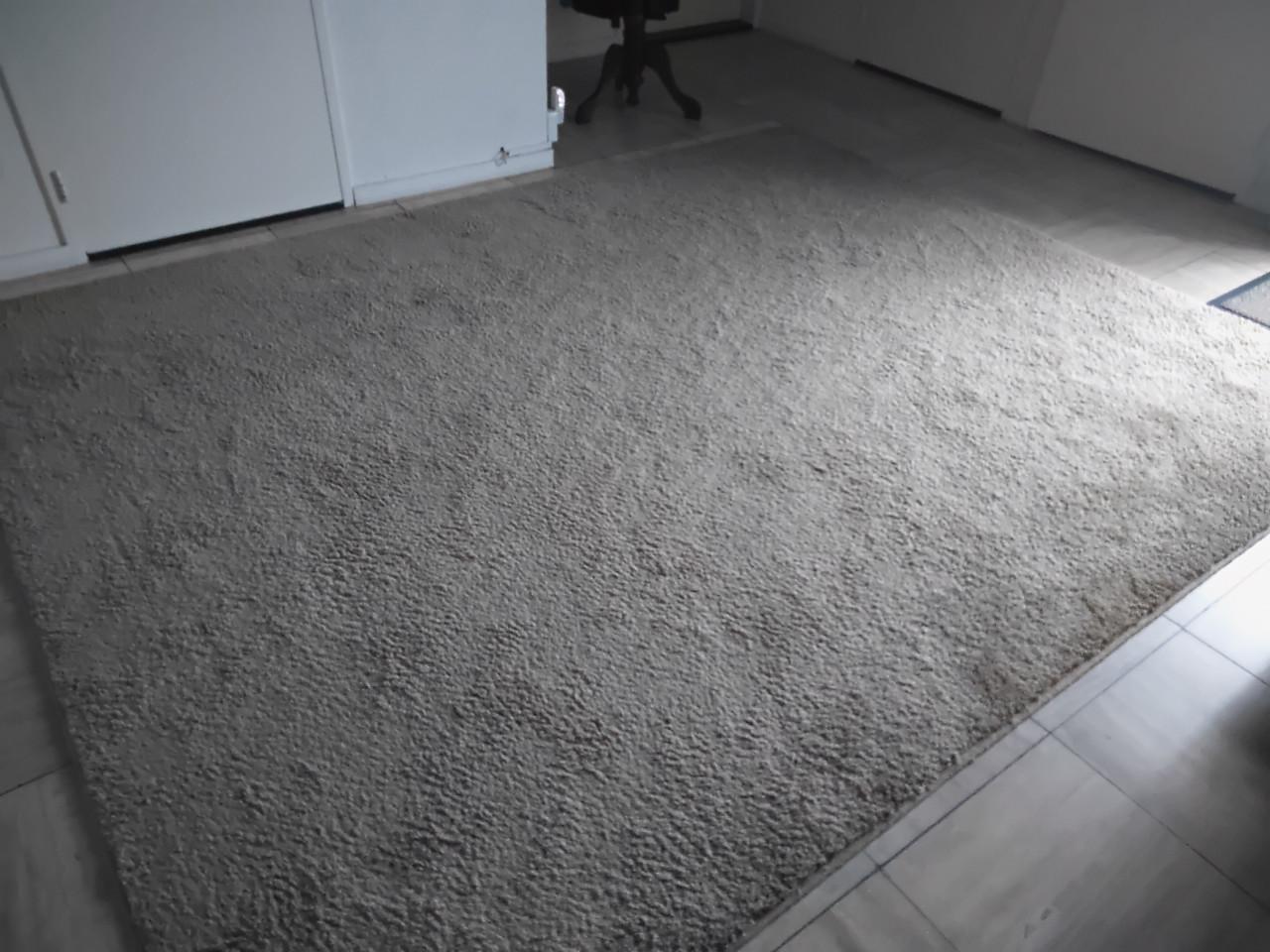 Gratis tapijt 300x230 cm beige moet nog schoongemaakt, voor onder afdak?