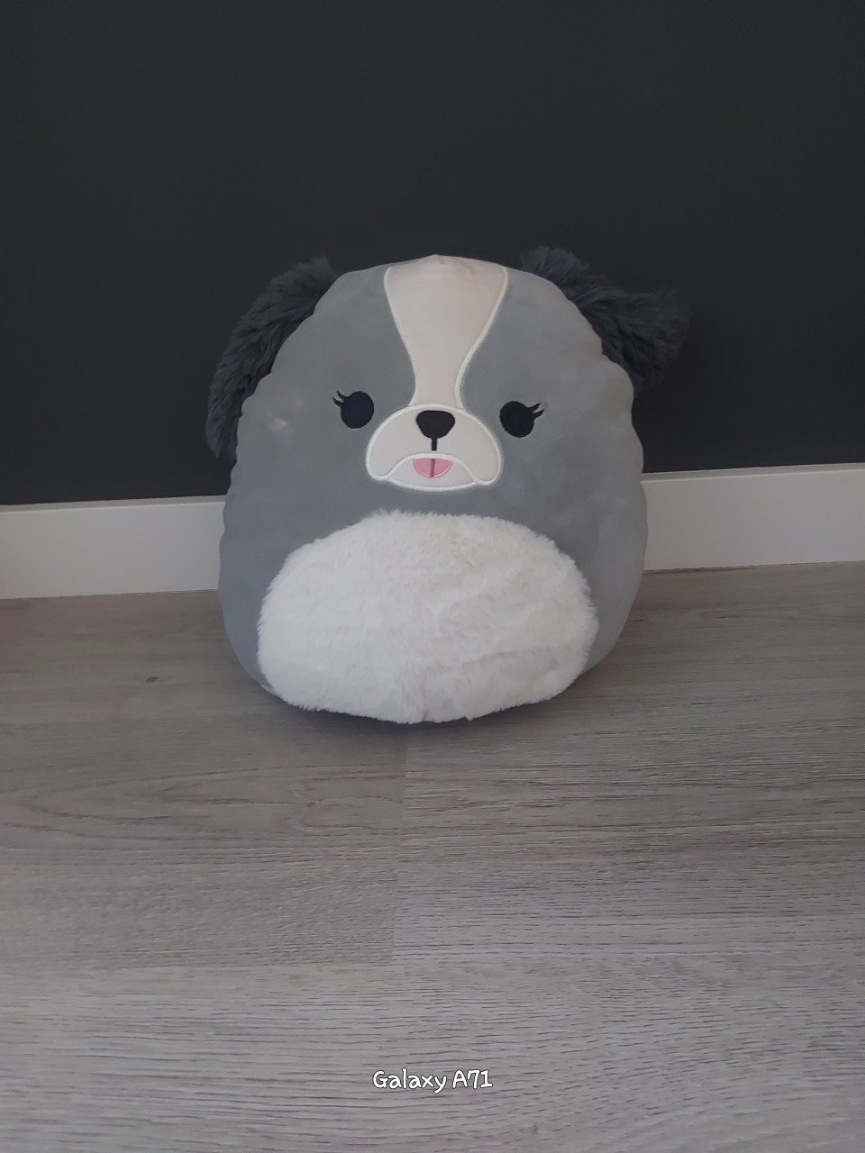Squishmallows medium size