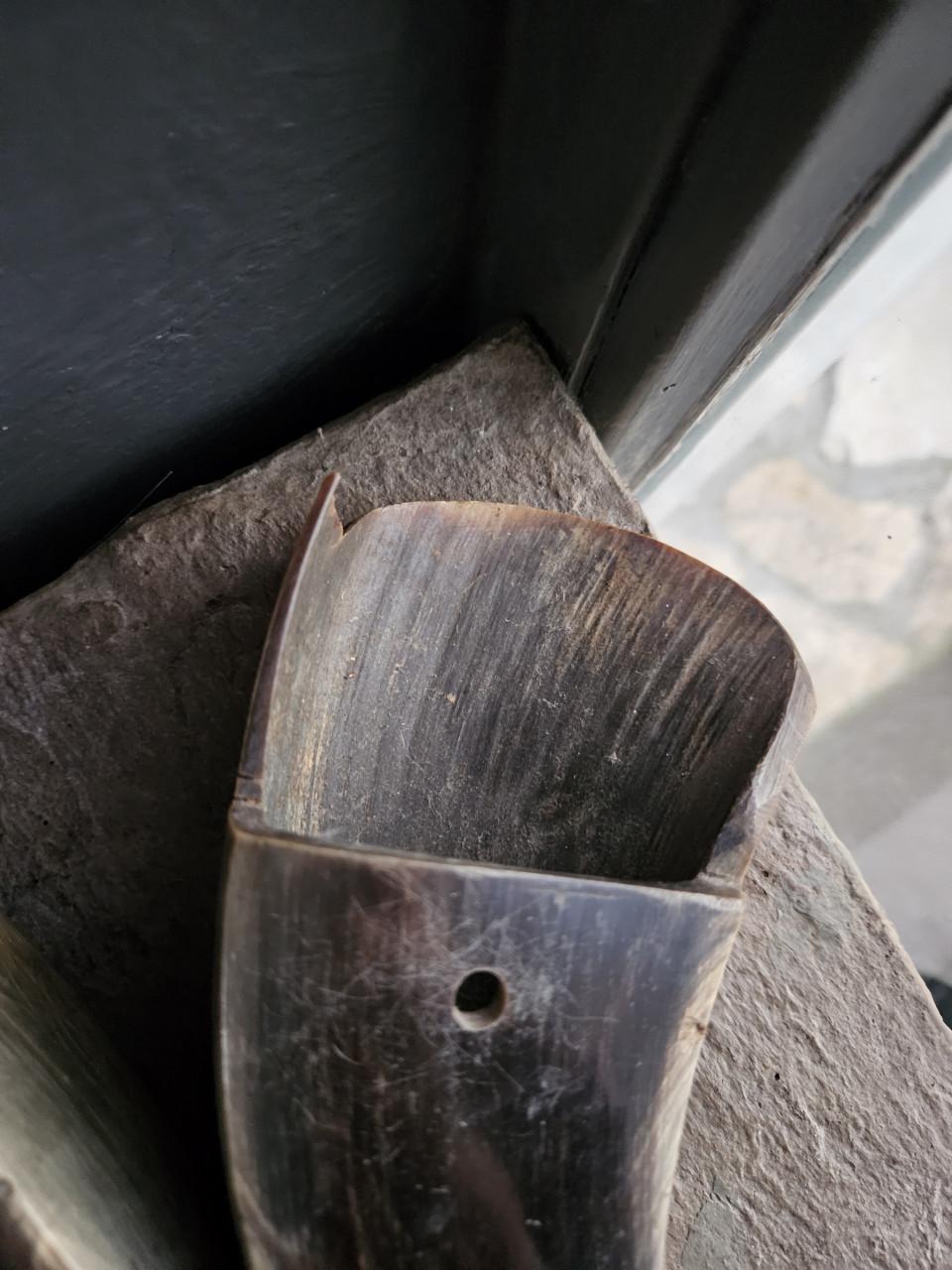 2 prachtige grote waterbuffel hoorns voor decoratief gebruik