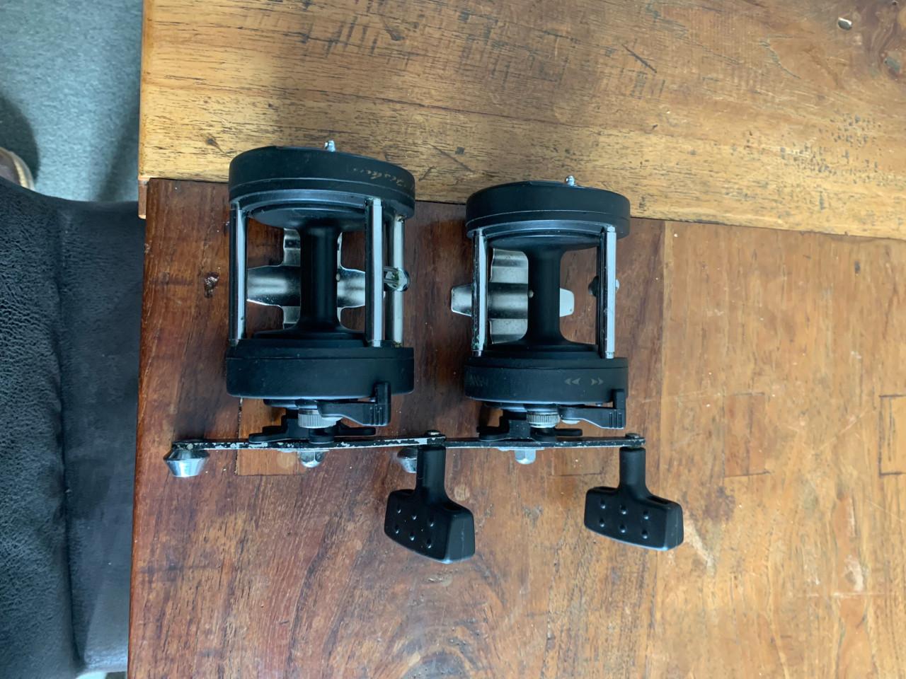 Complete meerval visset