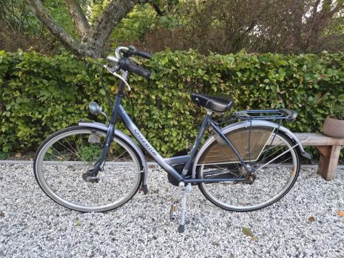 Damesfiets / meisjesfiets Gazelle 28 inch