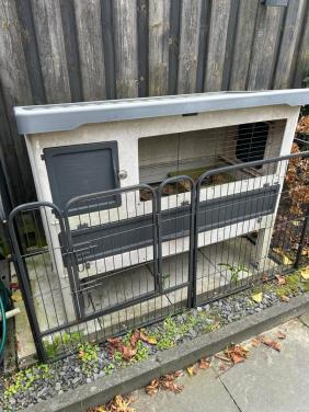 Konijnenhok met super lief konijn