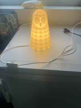 Nachtlampje uil