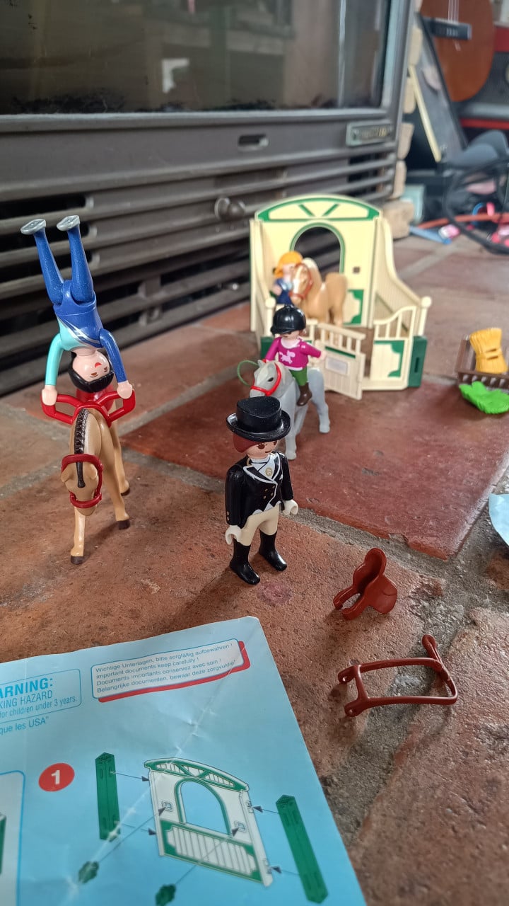 Paarden playmobil
