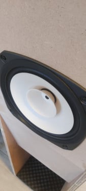 Luidsprekers Fostex FE206En Dallas II
