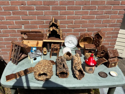 Knaagdieren