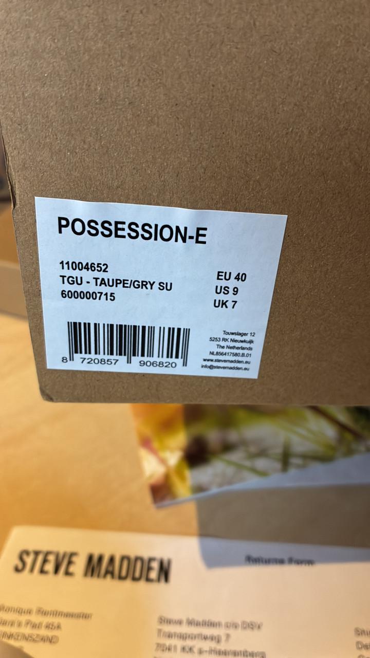 Sneakers Steve Madden