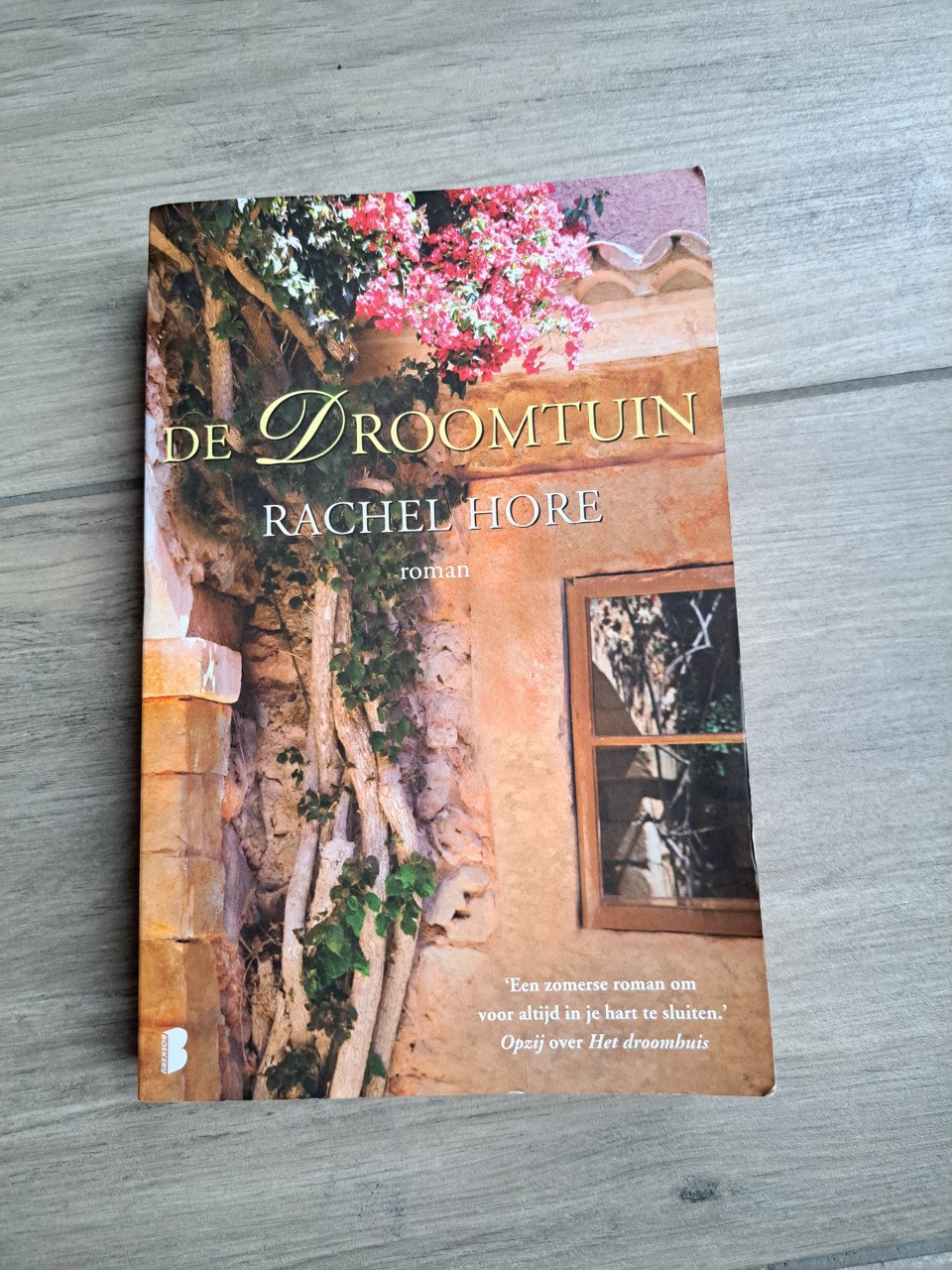 Roman De droomtuinen van Rachel Hore