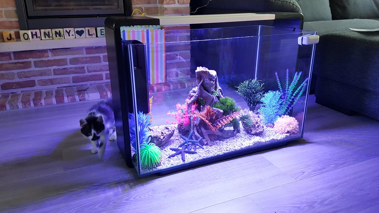 Superfish Home 110 Aquarium Black Inclusief Alle Toebehoren Te Koop