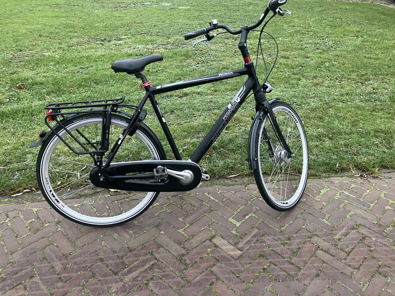 Pegasus Roma 28''