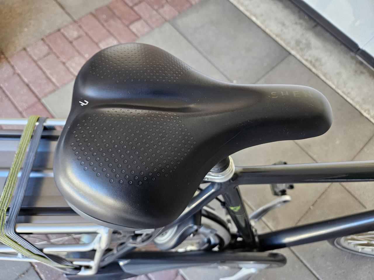RIH Omega 3 elektrische fiets.