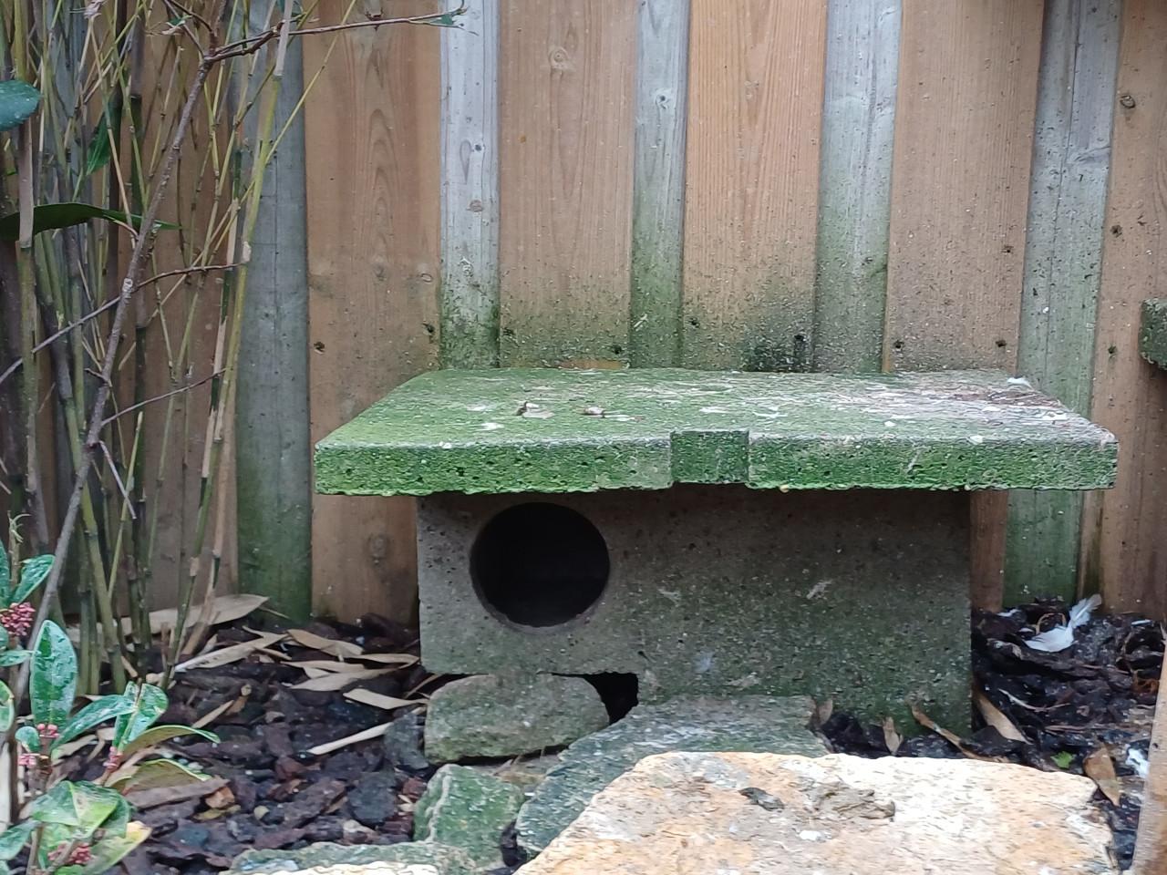 Eenden nestkasten van beton