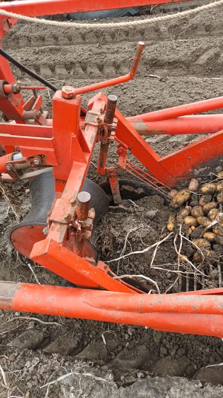 Amac d1 aardappelrooier