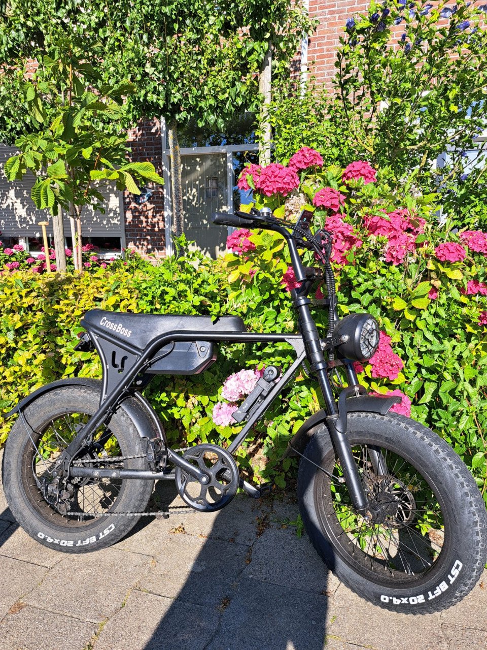 Fatbike