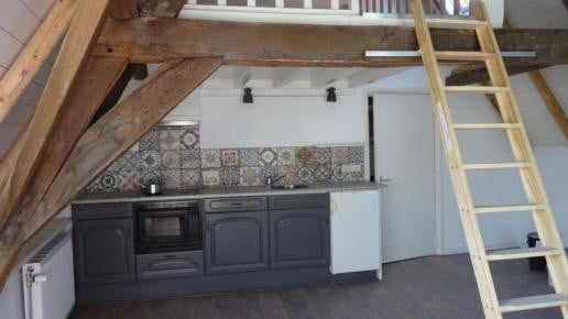 Monumentale kamer beschikbaar per direct (805 all in)